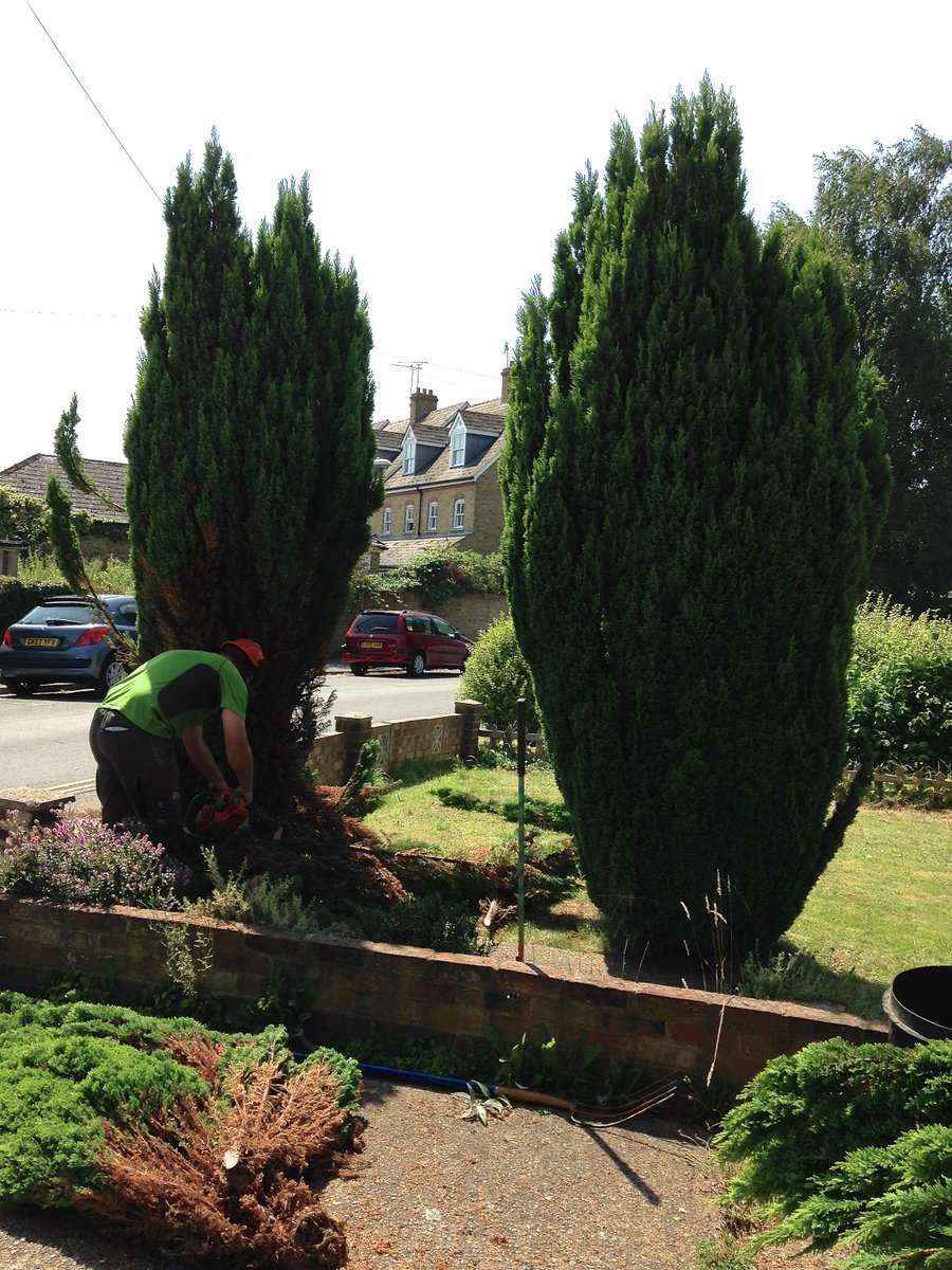 CareFell's tweet photo. Here's an example of a #tree removal project. Book on https://t.co/0yAIaBbAnJ
#garden #landscaping #treesurgeon https://t.co/nLWSxcTV1W