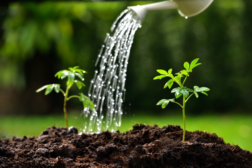 AgIsAmerica's tweet photo. .@MSUExtService on creative gray water recycling in #MS: https://t.co/VwjDMAqfxm #CropPerDrop https://t.co/5UdCGe1n4Z