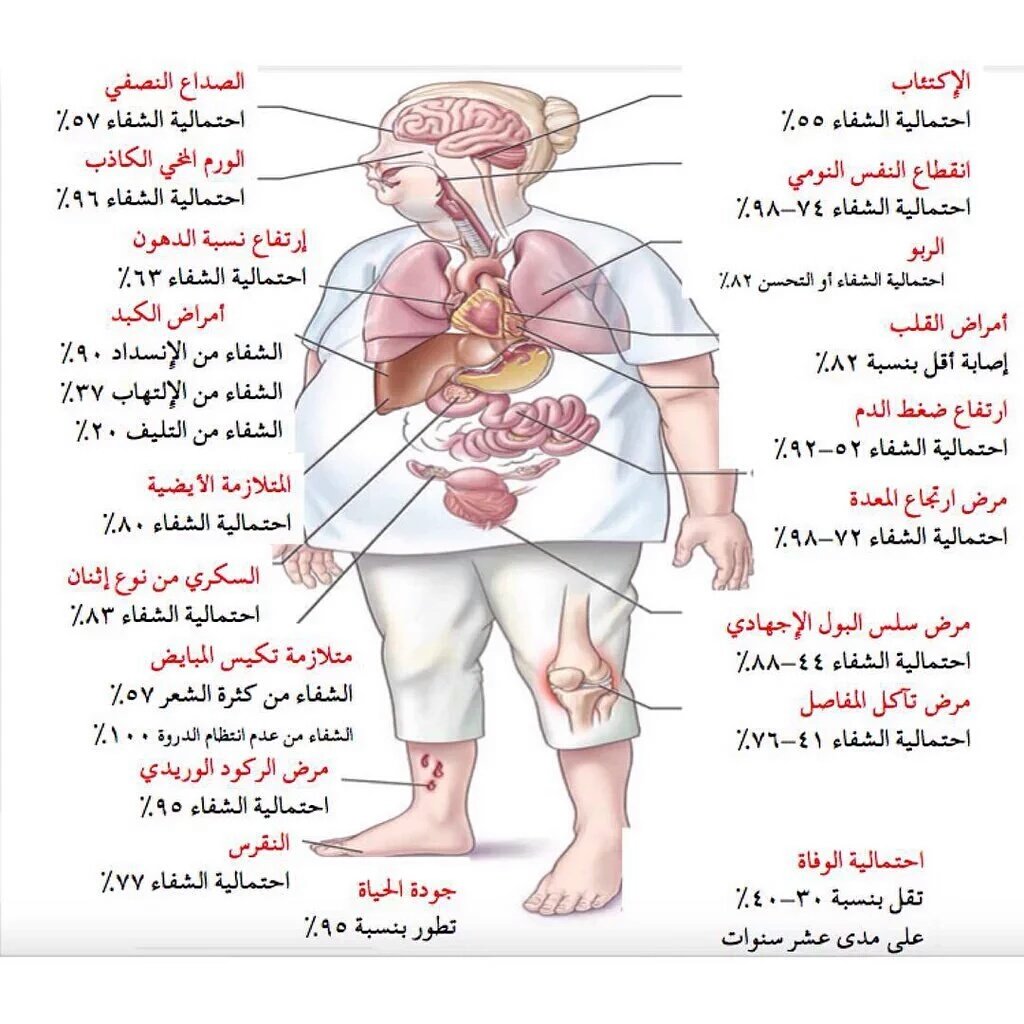 د. بادي العنزي 🇸🇦 tweet media