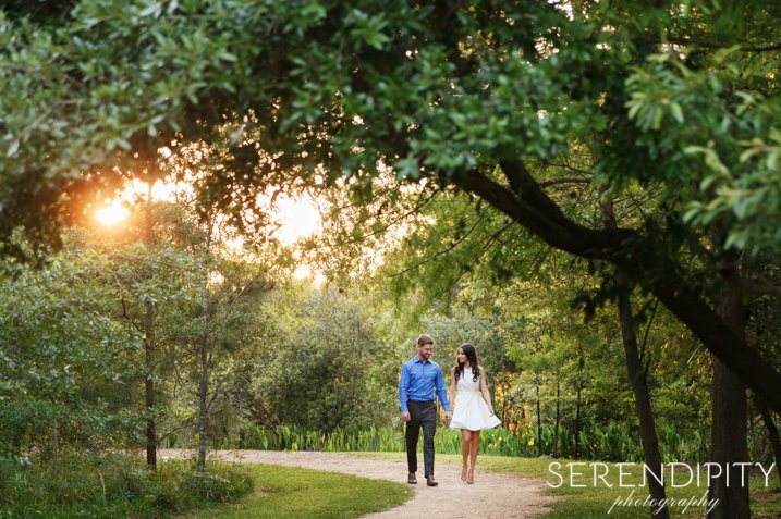 Serendipity Photo tweet media