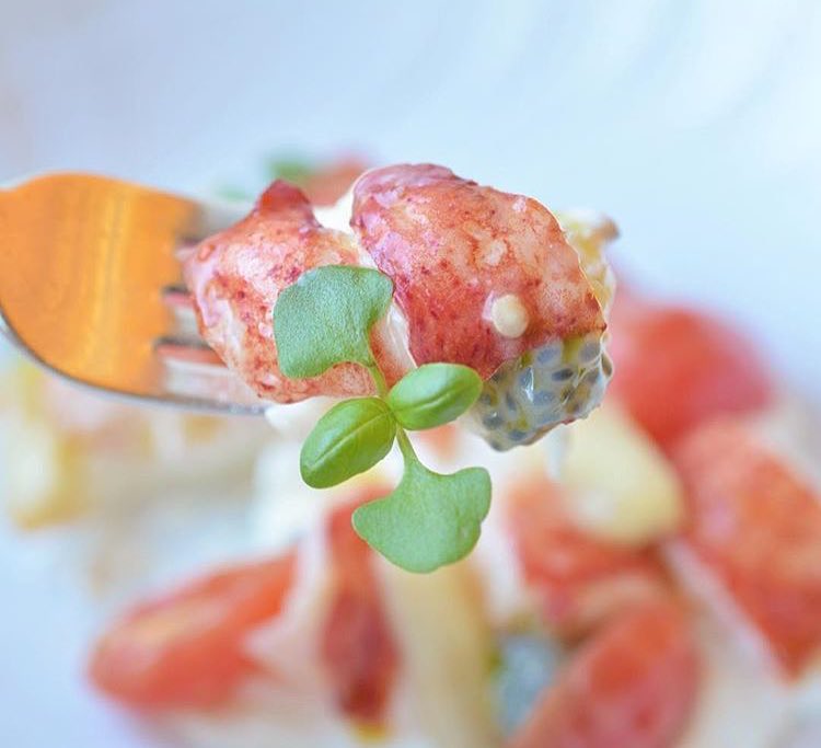 The perfect bite (featuring our lobster burrata