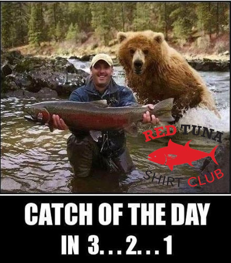 redtunashirts's tweet photo. Don't miss out on the #catchoftheday with our $5 promo ending April 15th! Promo Code #tunalaunch #redtunashirtclub https://t.co/nd6niW9fHj