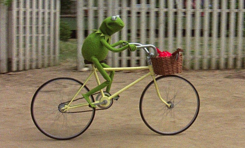dootmatt's tweet photo. Going for a ride on my new bike! #tampalife  @OldYorkmatt https://t.co/6kOMHo0DAW