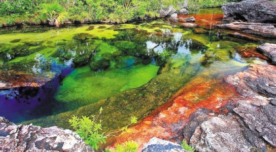 pcorrea78's tweet photo. ANLA otorgó licencia explotación petrolera 150 puntos cerca Caño Cristales https://t.co/CPxr6Wr1I1 #licenciasexpress https://t.co/xegRqsW1x1