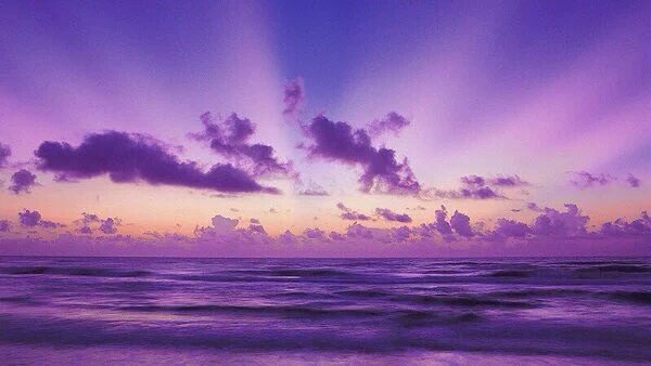 radnature's tweet photo. Lilian skies https://t.co/V3fGRF4XvG