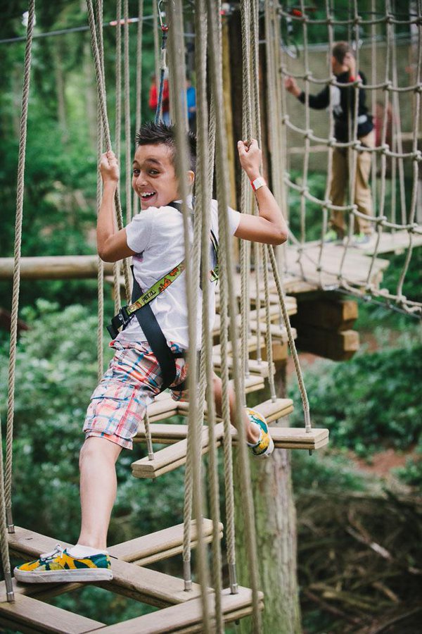 GoApeTribe's tweet photo. Looking to entertain your little monkeys? Our family tree inc 17 Junior Adventures UK wide! https://t.co/XSYaz9HFlr https://t.co/pwZaH4gL5V