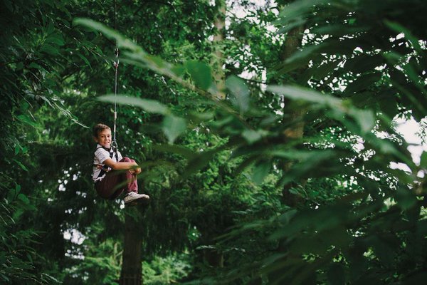GoApeTribe's tweet photo. Looking to entertain your little monkeys? Our family tree inc 17 Junior Adventures UK wide! https://t.co/XSYaz9HFlr https://t.co/pwZaH4gL5V