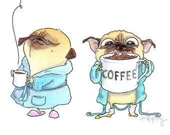 Banana the Pug (@bananathepug) on Twitter photo 