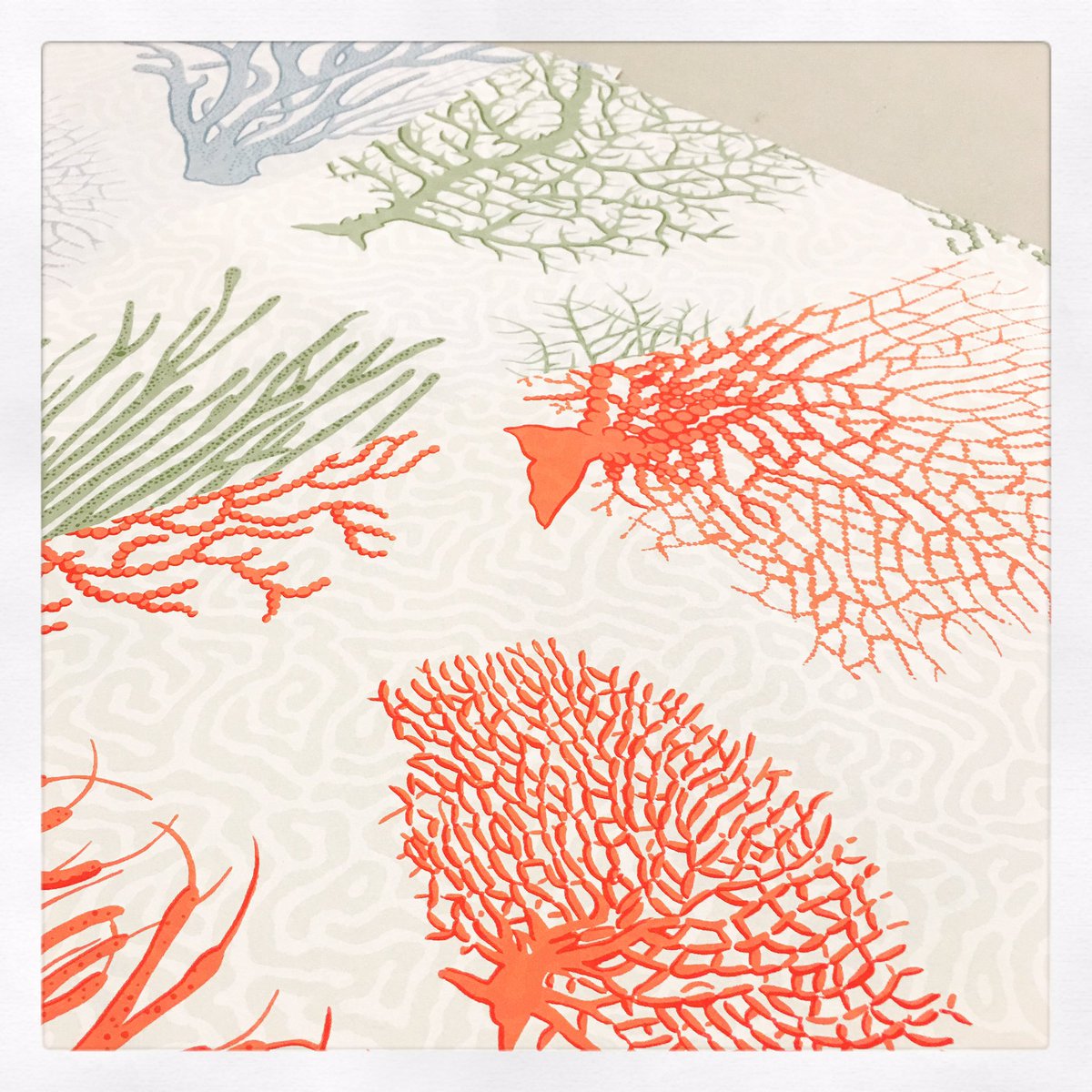 Cornwallinterio's tweet image. Lots of #coastal #schemes coming together 💕 #coastalhome #cornwallinteriors #cornwallinteriordesign #interiordesign