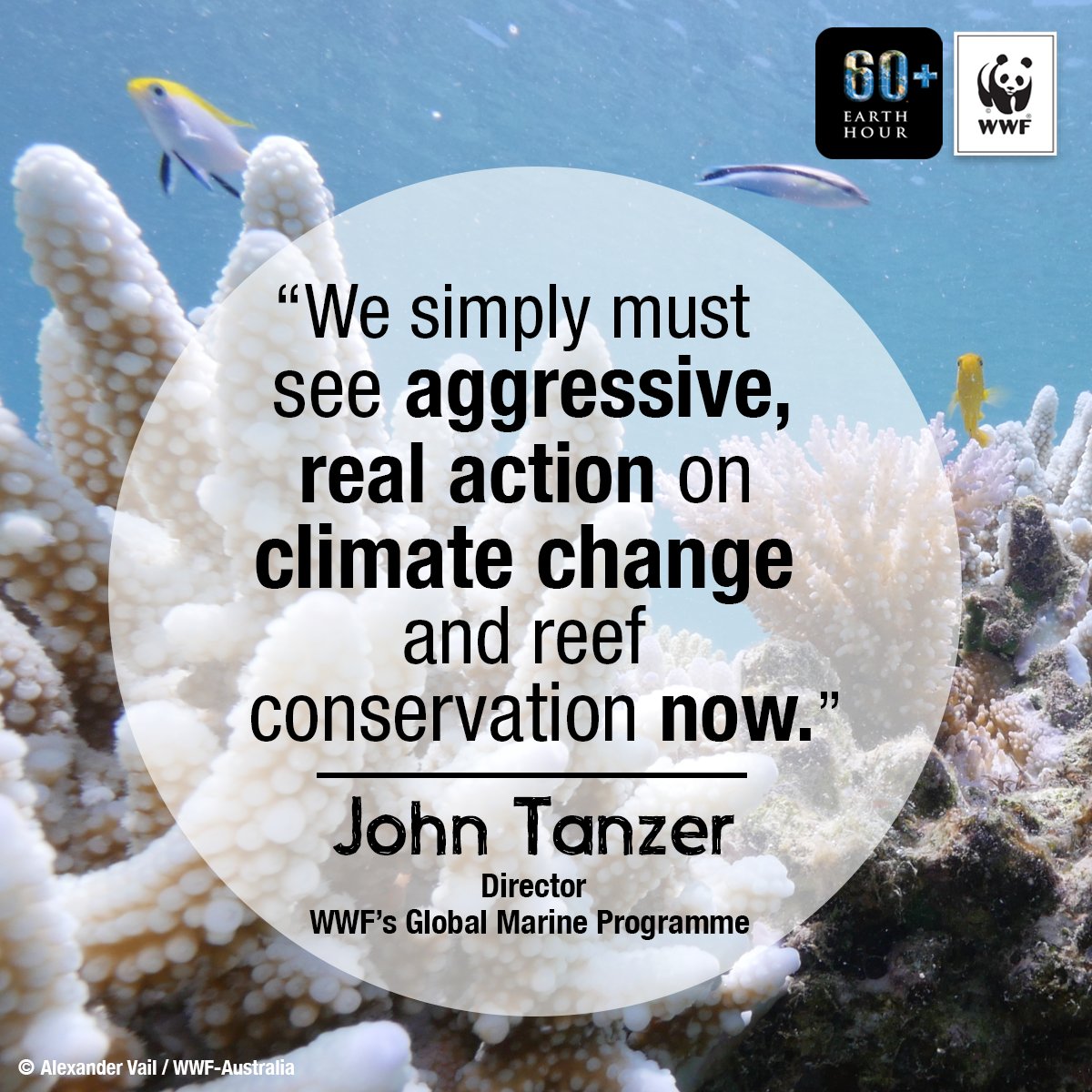 Earth Hour Official tweet media