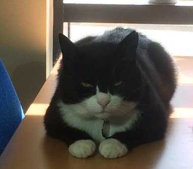 Always tricky picking an outfit for first day at work - think I nailed it with the choice of a tuxedo