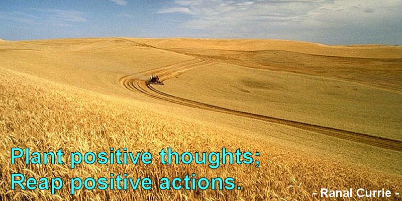 Ranal55's tweet image. Plant positive thoughts; Reap positive actions.  #thoughts  #positivethinking