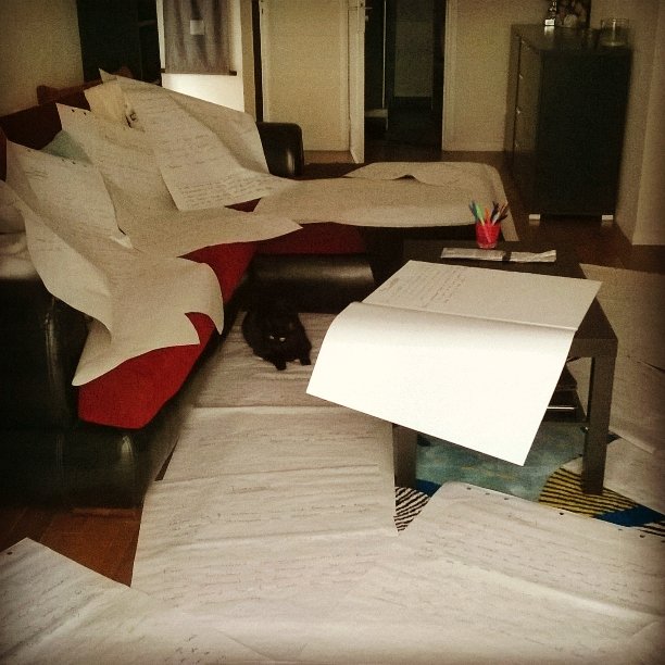 kimmwatt's tweet image. Layla-cat looking as overwhelmed as I felt by all those #storynotes! Now for 2nd draft. #amwriting #amediting #books