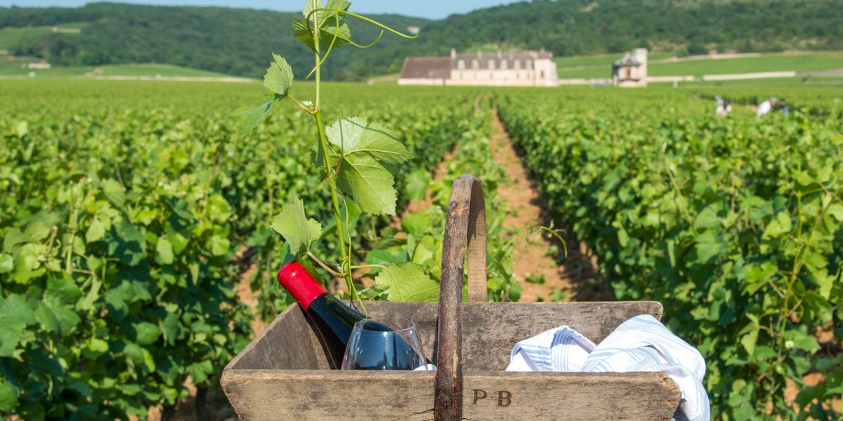 oltreilbalcone's tweet photo. Borgogna: dritte su cantine da non perdere? L'ultima volta sono stata da #DomaineChapuis e #PascalMarchand https://t.co/Tf2KNSWe7i