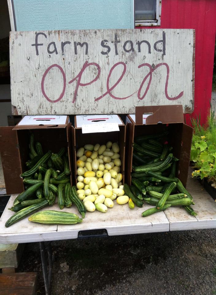 FarmHappySocial's tweet photo. Farms are opening farmstands online @ https://t.co/PW5o4lYGRT! Join us!  #FarmHappy #Farm https://t.co/EtgTzctXoH https://t.co/Z1Q0NiSgdZ