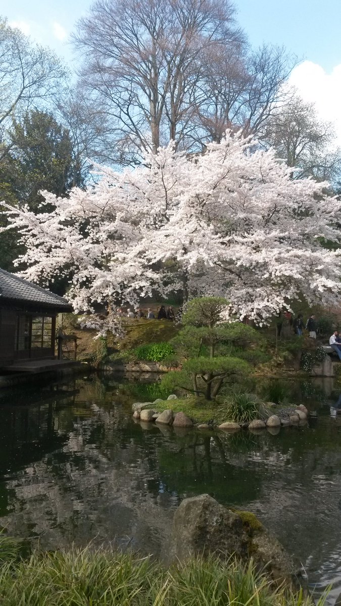 Japanischer Garten Kaiserslautern