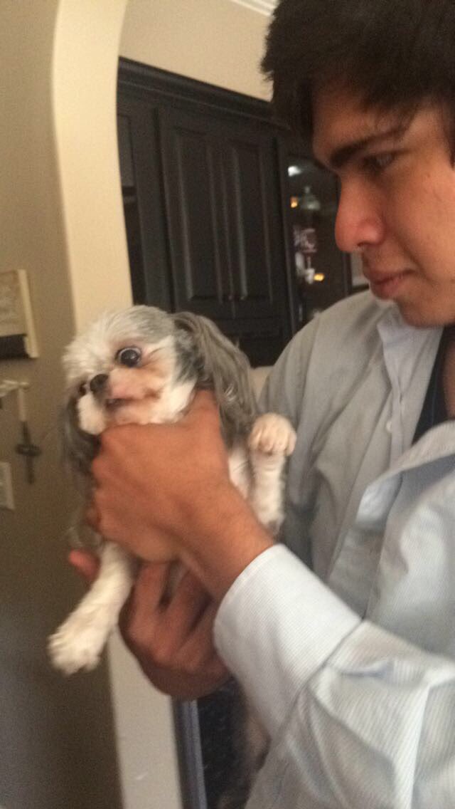 muhhwee's tweet photo. happy bday robs miss u so much #freerobs https://t.co/Mh1tMiNgEV