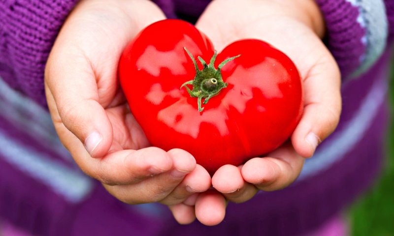 runnersworldnl's tweet photo. Een handige methode om te meten of je genoeg eet: https://t.co/tLmIas7TPF #voedingstip https://t.co/O8EeaN5BBs
