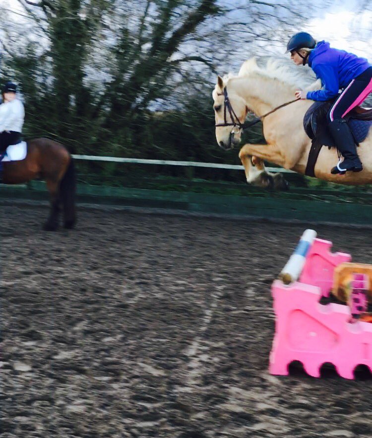 ZoPezzack's tweet photo. Fly Blondie, fly! https://t.co/6xedkId4MD