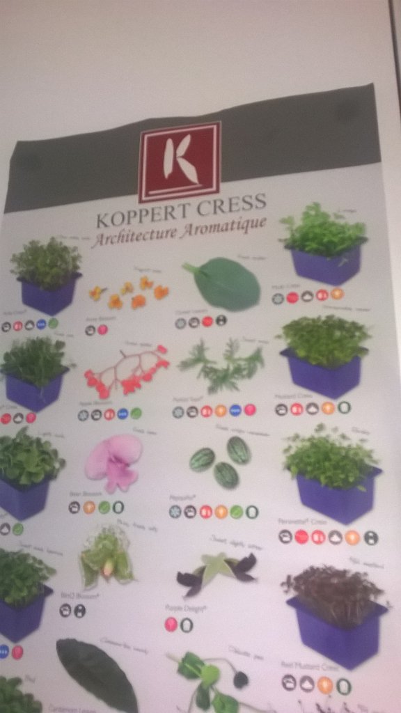 GingerParsons's tweet photo. @royalgdnhotel sat in #ChefMunkley's office Learning about @koppertcressUK while I wait! #WhatChefsWant https://t.co/0pJjC3NN0U