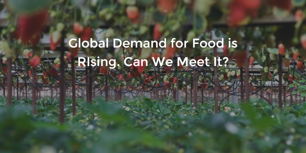 HarvardBiz: Global Demand for Food Is Rising. Can We Meet It? hbr.org/2016/04/global… #agtech #precisionag