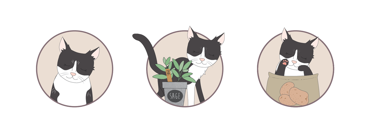 Hmm, I wonder what <a href="/winstonsplot/">Winston</a> would make to Bella the KG cat...? kitchengarden.co.uk/Meet-Bella-the…