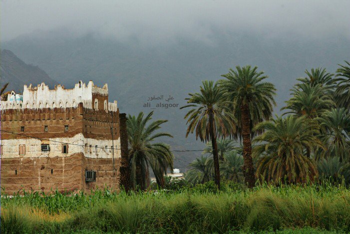 ali50cent_911's tweet photo. @NajranWeather  #نجران_الان
#تصويري
#علي_الصقور https://t.co/b8kSupdEIP