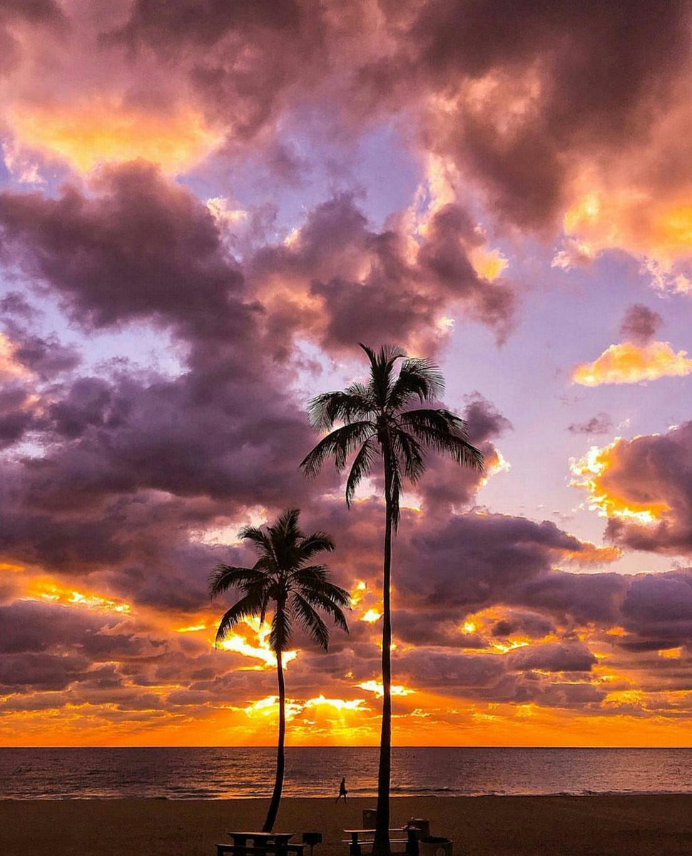 StaySaltyFL's tweet photo. Catch a Sunrise in #ftlauderdale #fortlauderdale #visitflorida #lovefl https://t.co/6x4aaEqron