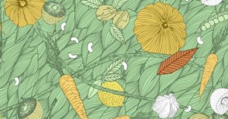 _lessuricates's tweet photo. 🍏 @LesPopotes • Panier de recettes 100% bio, végétariennes &amp; de saison à choisir > https://t.co/0rgXfQfp2S https://t.co/l7UnyFfYf7