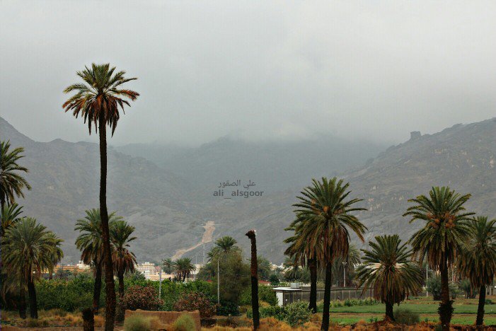 ali50cent_911's tweet photo. @NajranWeather  #نجران_الان
#تصويري
#علي_الصقور
#العجمه https://t.co/bf6VkhLH94