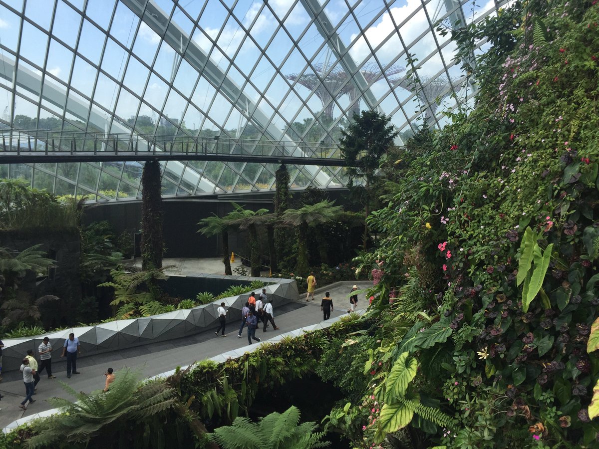 deconature's tweet photo. Nous sommes partis à Singapour à la recherche de nouvelles idées de décoration ! https://t.co/uKE83kw5BU #deco https://t.co/5RuoF8SO28