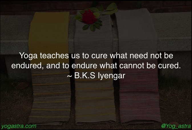 yog_astra's tweet photo. #Iyengar #Yoga #Healthy #Living #Healing #Balance #Organic #Ayurveda #GreenYoga https://t.co/60t2FrdszQ