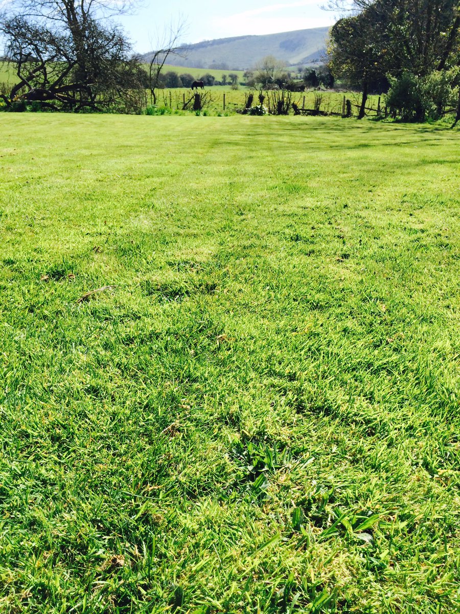 tiltonhouse's tweet photo. Morning walk to practice in the yurt made even more delicious by psychedelic verdant green grass! #trippy #upifting https://t.co/9zvElb9ysU