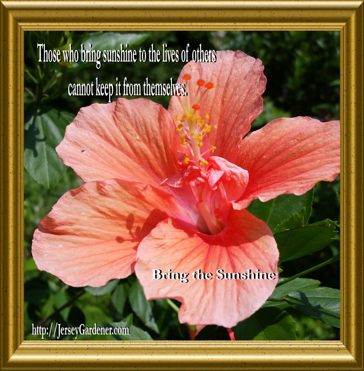 my5pillars's tweet image. Bring on the sunshine! Brighten someone's day, do this and the world will be a little bit brighter because of you.