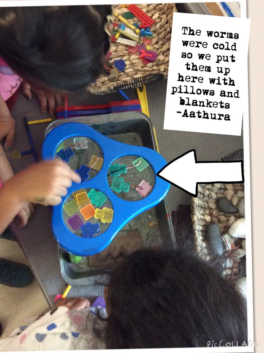 edu_low's tweet photo. #livingthings #worminquiry https://t.co/Qs2veTJ0Pn