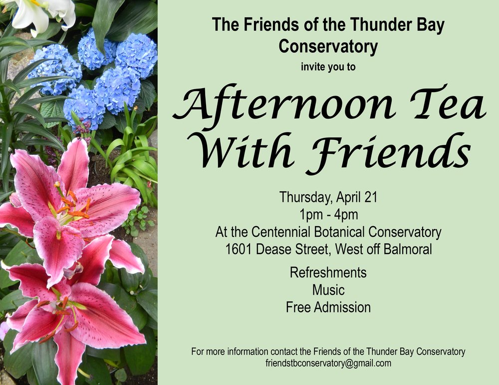 friendsTBcon's tweet photo. Join the Friends &amp; #TBay Conservatory staff this Thurs, 1–4pm. Tour the botanical collection, light refreshments. https://t.co/dxvlIbcDqJ