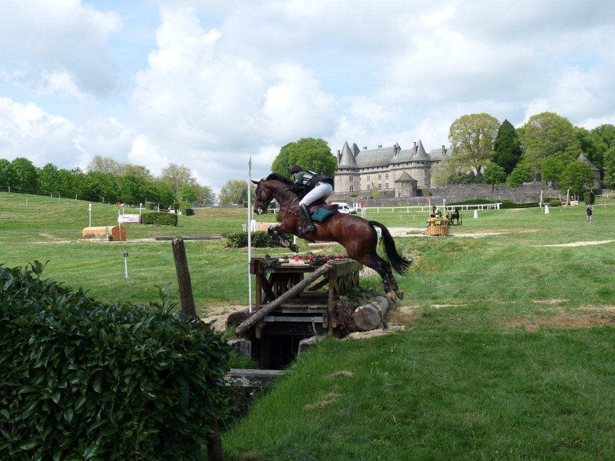 SCHPompadour's tweet photo. Programme PRÉVISIONNEL du Grand National et de la TDA Jeunes de CCE du 21 au 24 avril!
https://t.co/cwPRvHKzlc https://t.co/0jNvxfBDWq