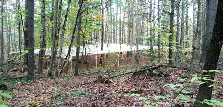 AgIsAmerica's tweet photo. New @NH_AES program helps understand effects of drought on northern forests: https://t.co/TqDzt8dkq0 #CropPerDrop https://t.co/2ljkWz2fNA