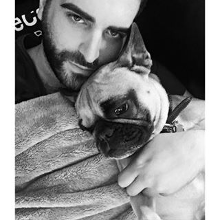 Frenchie_Cute's tweet photo. Cuddle time with this squishy fella. #chewy #snuggles #puplovin #frenchbulldog #frenchietime https://t.co/RvyT2Qdlk3 https://t.co/cyPZ1eT0cA