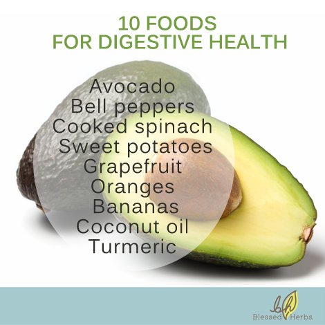 BlessedHerbs's tweet photo. 10 Foods for Digestive Health #SpringCleansing https://t.co/Y4r1ThBhTn