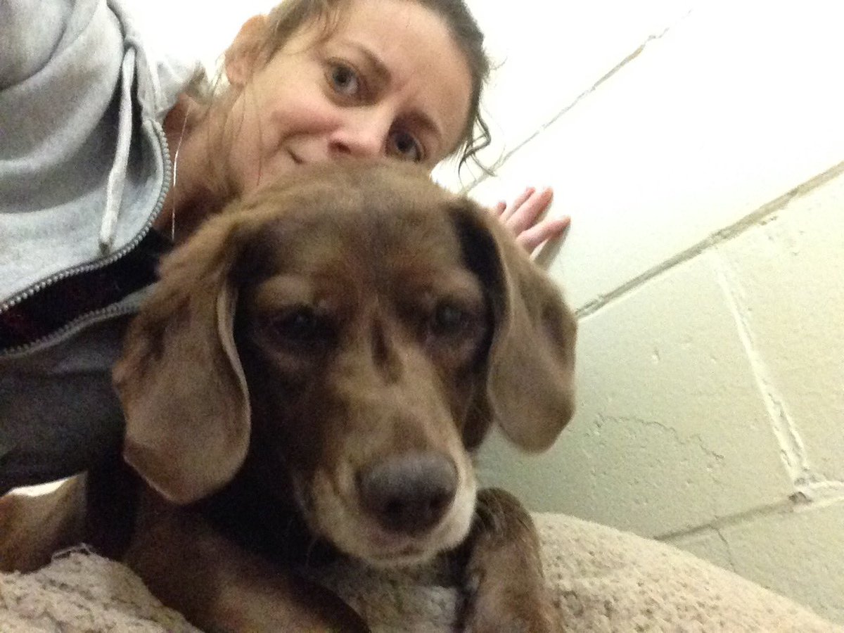 Back from a long walk with Miss Cocoa.  Come find her <a href="/NSSPCA/">Nova Scotia SPCA</a>