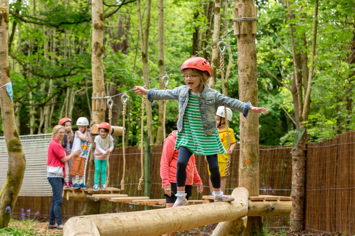 C_DiscoveryPark's tweet photo. School Tours 2016 - Junior Woodland Adventure Course is a popular choice! Don't miss out!  
https://t.co/zT1oapp3Dt https://t.co/ihEkZM6Vwu