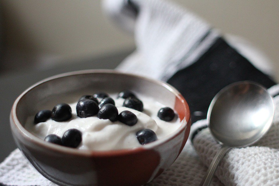 WreckHunger's tweet photo. Yogurt with a side of Probiotics, Please! https://t.co/7gLwFKlB2n https://t.co/D4O3VrJ0Or