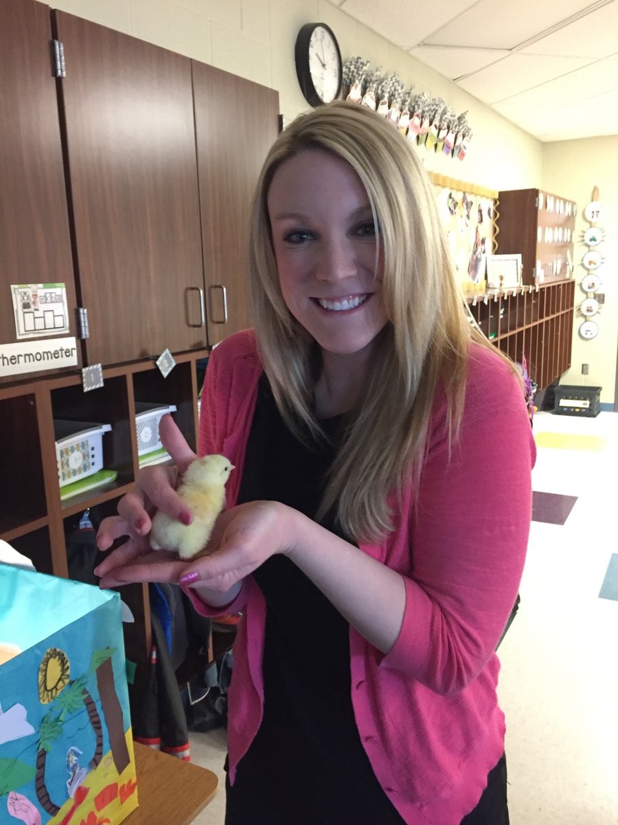 KBMissLarson's tweet photo. Exciting day today! We got to hold the baby chicks in @kinderhubb's room! So cute and fun! https://t.co/SKd3I7wPmn