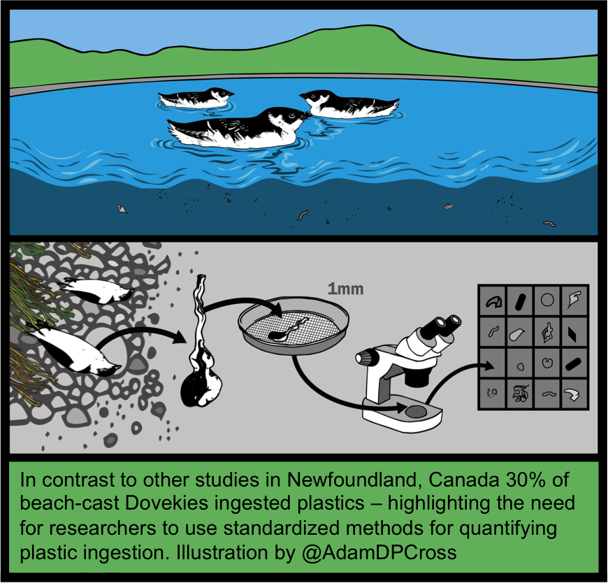 saverygo's tweet photo. 5 #WSTC2 Our results are ~2x higher than similar Dovekie study, highlighting need for int'l standardized methods! https://t.co/kYxglGK7yS