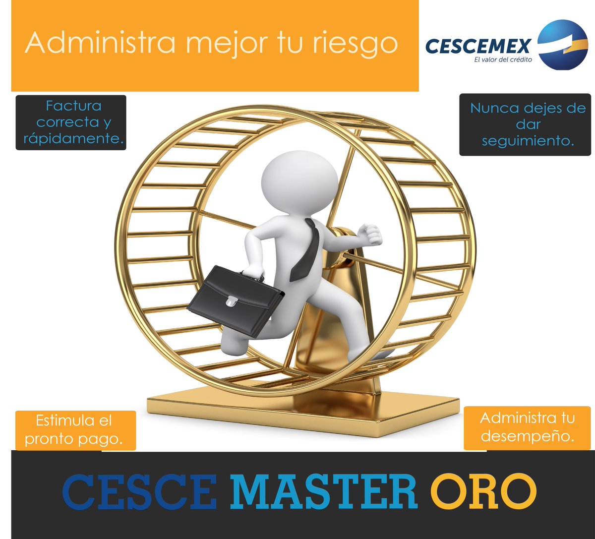 CesceMexico's tweet photo. Encuentra otras formas de mejorar la administración de riesgos en el siguiente link https://t.co/XPgrjY0gGY https://t.co/ldPSQpqNC6