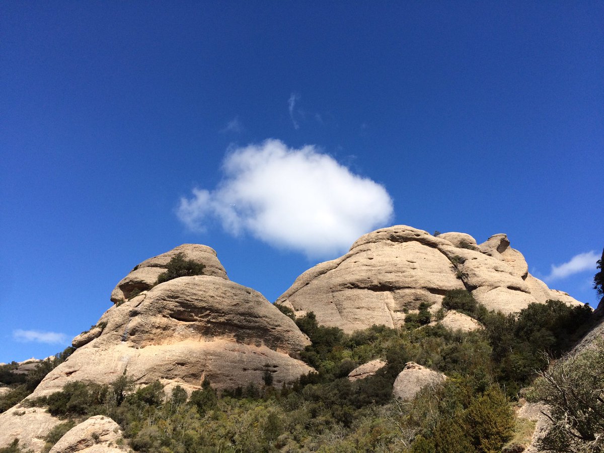 Espectacular dia de #Primavera el que hem tingut avui al #Parc #Natural de #Montserrat 
<a href="/Monica_Usart/">Mònica Usart</a> demá igual?