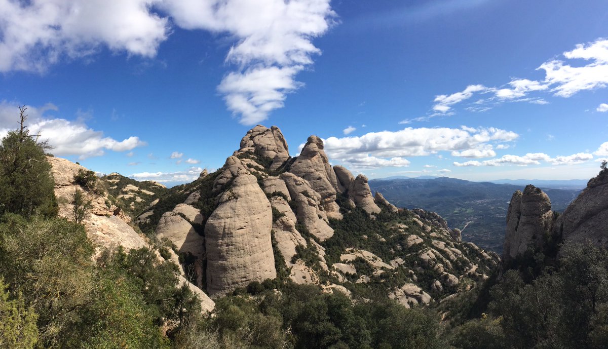 PN Montserrat tweet media