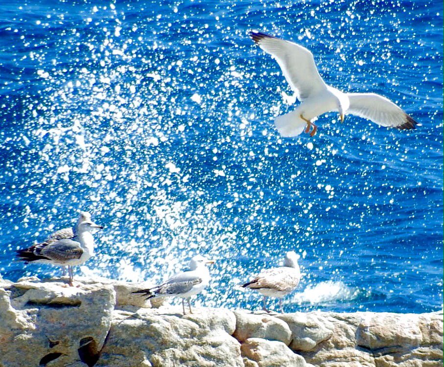 Por que hay veces que el riesgo , merece la pena    ... Déjate llevar  lugares-con-encanto.com