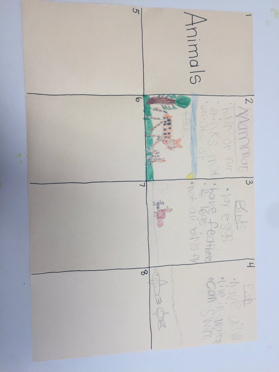 RockfishKinder's tweet photo. We are working on Animal Classification!! https://t.co/hIvz6oOcAu